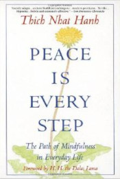 book_peace_is_every_step
