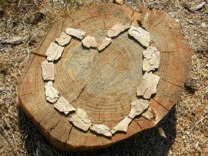 tree stump with heart