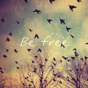 Be Free with flying birds